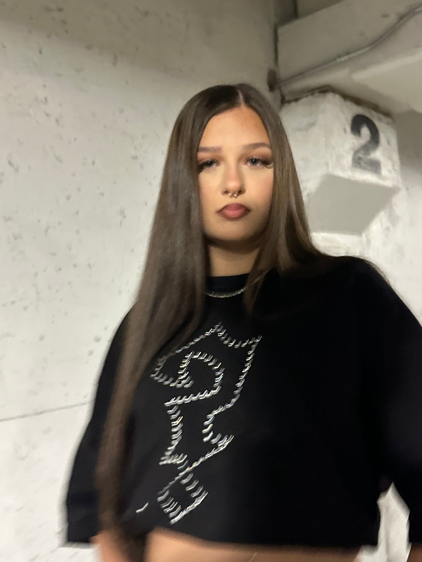 Rhine$tone Shirt